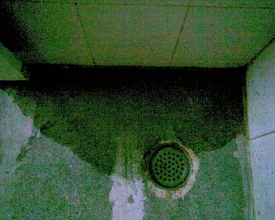 bathroom-water-trap