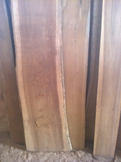 Teak wood planks 1