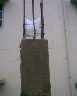 curing-for-pillers-cover