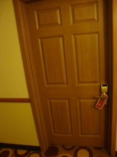 Door Design 6
