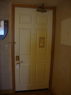 Door Design 9