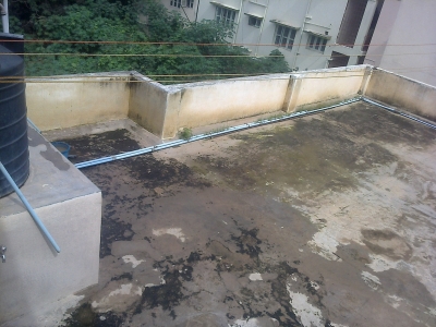 Grass on top of the roof