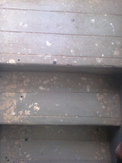 steps-made-of-cement