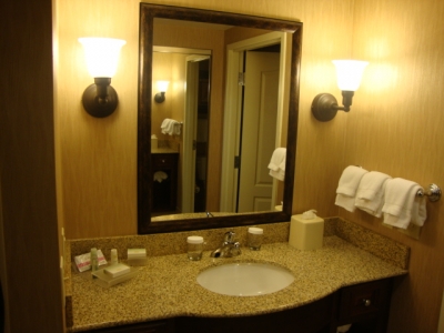 Wash Basin photo 2