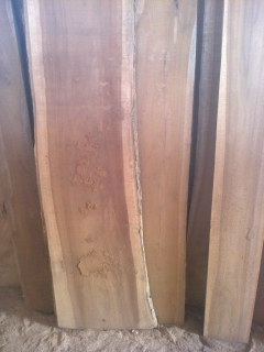 Teak wood planks 1